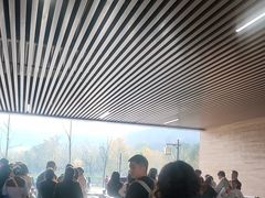 -千年银杏谷文化旅游区