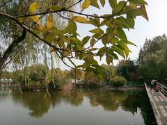 -八大关景区