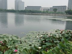 -尚贤河湿地