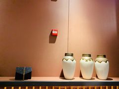 -蜀九香火锅(九眼桥店)