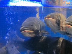 -味钱塘·钱塘渔鲜·地道江浙菜(宋城店)