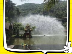 -西双版纳原始森林公园
