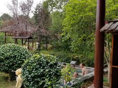 -咸宁万豪温泉谷度假区