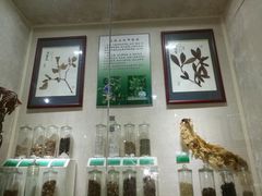 -广东中医药博物馆