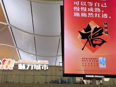 -上海浦东国际机场-T2航站楼