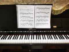 -知音艺术教育培训·钢琴培训·音乐培训(河西金鹰世界校区)