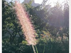 -丰台花园