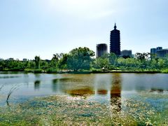 -西海子公园