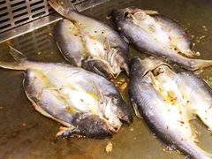 -比尔森啤酒自助烤肉(红旗街店)