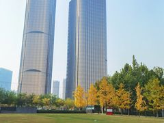 -大望京公园