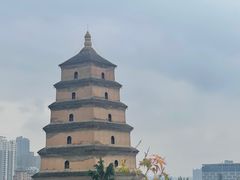 -西安威斯汀大酒店