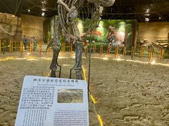 -二连浩特国家地质公园