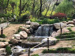 -大连植物园