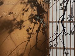 -龙华寺