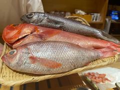 -镹·鱼料理  国产鱼使用店