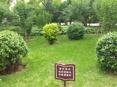 -迎泽公园