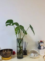 -美肤盾祛痘·问题肌头疗管理中心