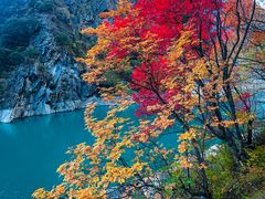 -叠溪松坪沟景区