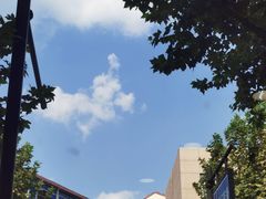 -白鹅咖啡(金城花园店)