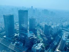 -上海龙之梦万丽酒店