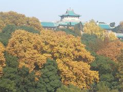 -田园小观园(武大店)