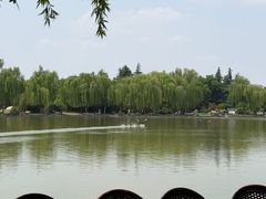 -洛阳市隋唐城遗址植物园