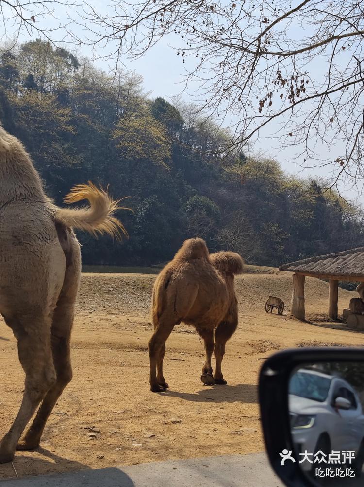 杭州野生动物园