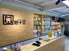 -猫十亿·布偶金渐层·曼基康矮脚猫舍(青年路店)