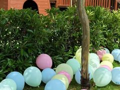 -玛利娅蒙特梭利双语幼儿园·托育(百家湖直营园)