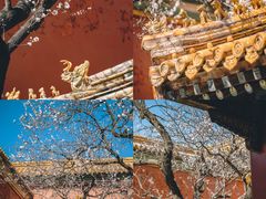 -故宫博物院(故宫)