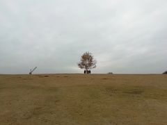 -钟山体育运动公园