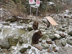 -九峰山