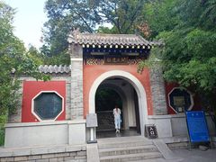 -佛慧山