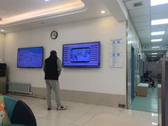 -北京观赏动物医院·24小时大型综合·猫专科·异宠专科
