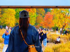 -塔川景区