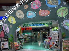 -上海大自然野生昆虫馆(东方明珠·爬宠昆虫探索中心)