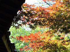 -杭州半山国家森林公园