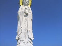 -白洋淀景区