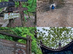 -大连天门山国家森林公园