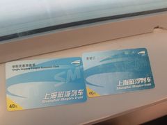 -龙阳路磁悬浮列车总站-停车场