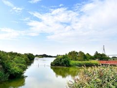 -芒洲湿地公园