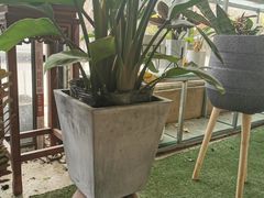 -金科花卉市场