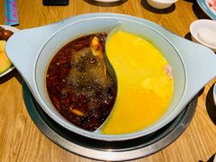 -青瓷火锅料理(西单大悦城店)