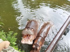 -海南热带野生动植物园