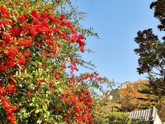 -青岛崂山太清宫