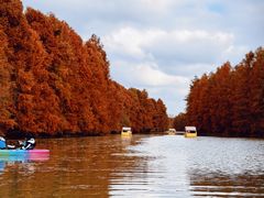 -上海海湾国家森林公园