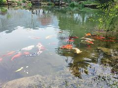 -中国茶叶博物馆(双峰馆区)