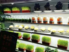 -番食园鲜食火锅(高新店)