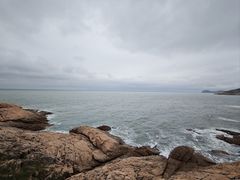 -广东惠东海龟国家级自然保护区
