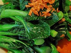 葱油菜心苗-西贝(东方路店)